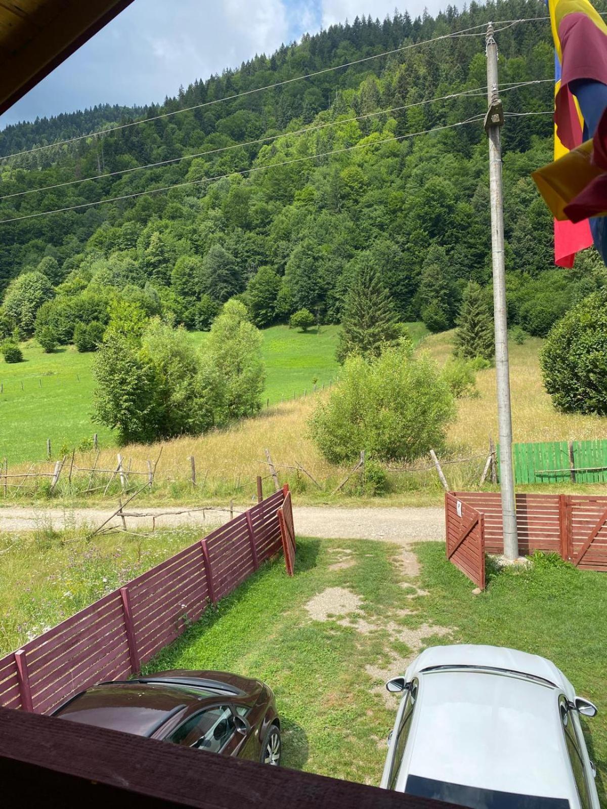 Cabana Lucia Tarcău-Gheuca エクステリア 写真